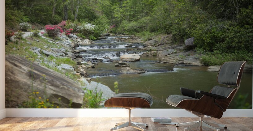 Flowing Tranquility Wall Murals