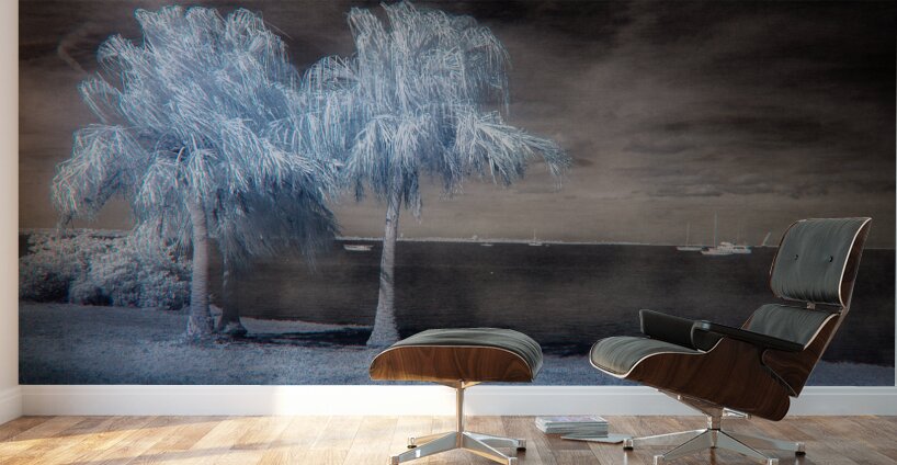 Surreal Waterscape Wall Murals