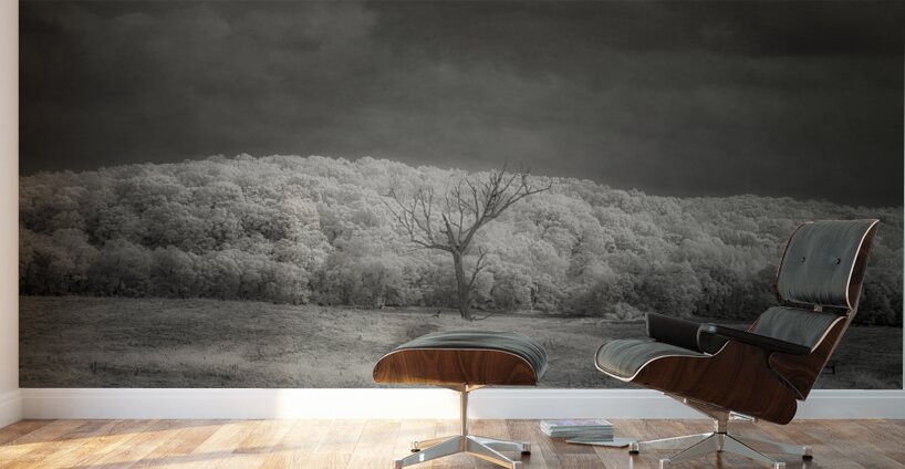 Luminous Isolation Wall Murals