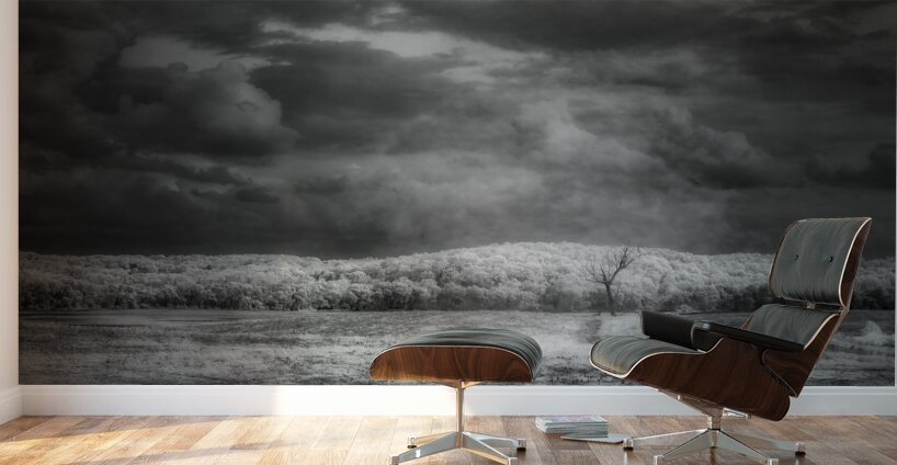 Radiant Isolation Wall Murals