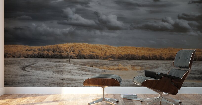 Fields of Surreality Wall Murals