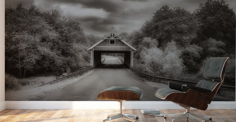 Ghostly Pathway to Serenity Wall Murals