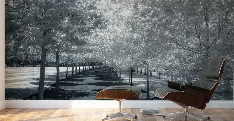 Canopy of Silent Shadows Wall Murals