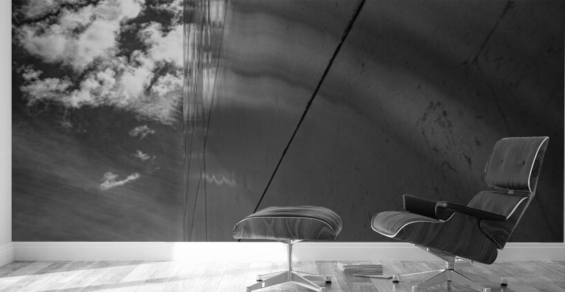 Reflective Harmony in Monochrome Wall Murals