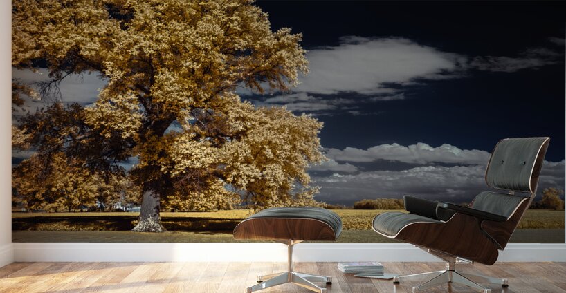 Vibrant Sentinel Wall Murals