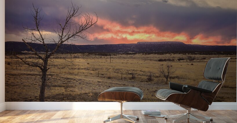 Heavens blaze: sunset symphony in Cold Beer New Mexico Wall Murals