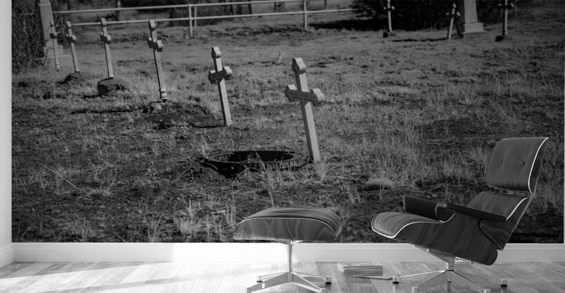 Stillness Among White Crosses Wall Murals