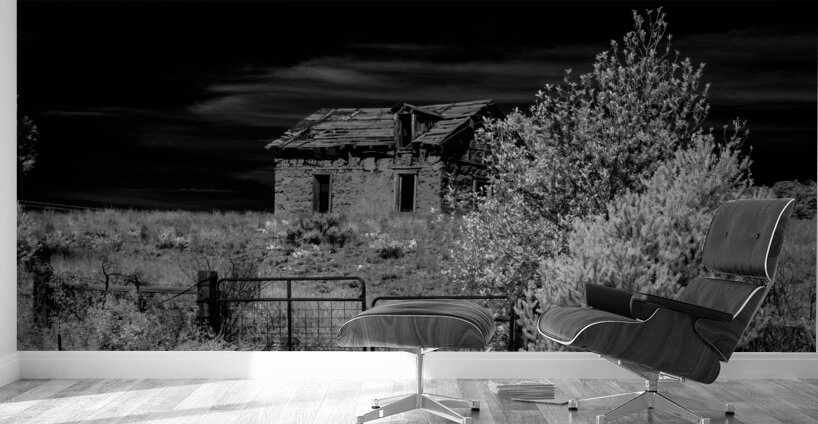 Haunted Echoes of an Abandoned Past Wall Murals