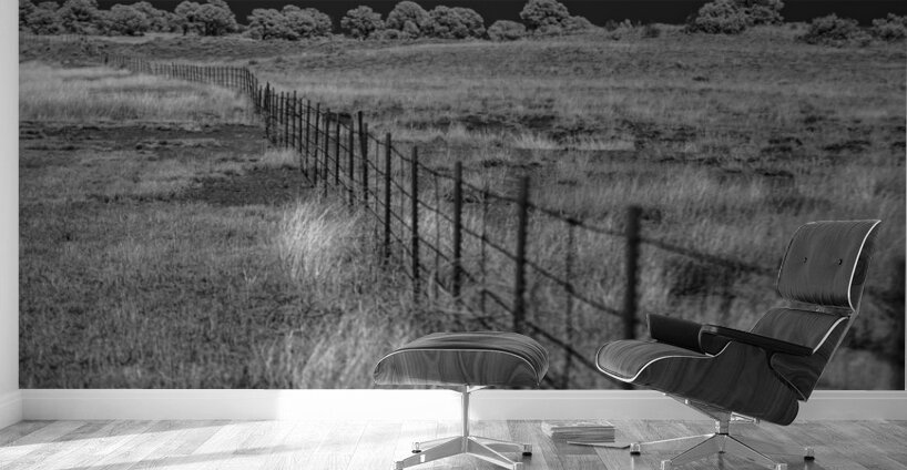 Fenceline Whisper in Monochrome Wall Murals