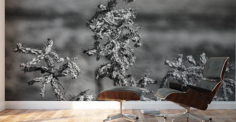 Solitude of Spine Wall Murals