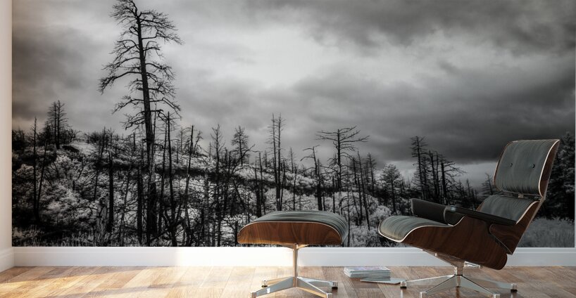 After the Fires Whisper Wall Murals