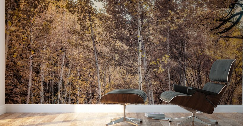 Serenade of Fall Foliage Wall Murals