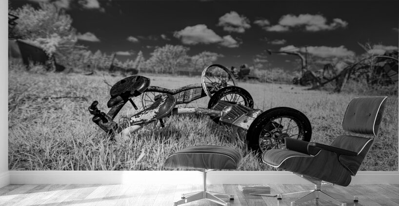 Rustic Relic - Broken Trike Wall Murals