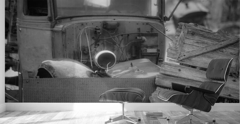 Rustic Relic - Hidden Decay Wall Murals