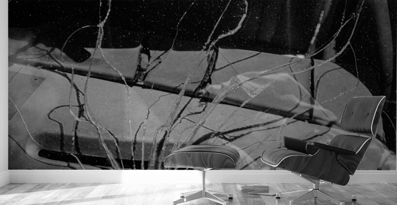 Rustic Relic - Cracked Vision Wall Murals