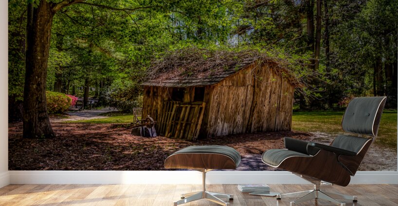 Garden Shack in Color Wall Murals