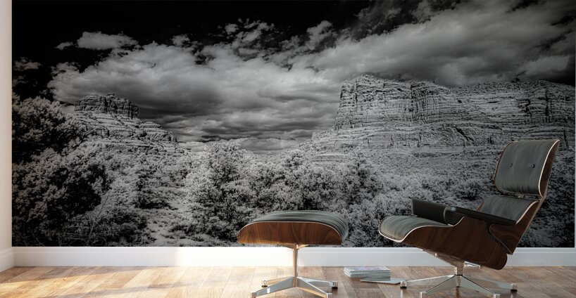 Desert Majesties in Monochrome Wall Murals