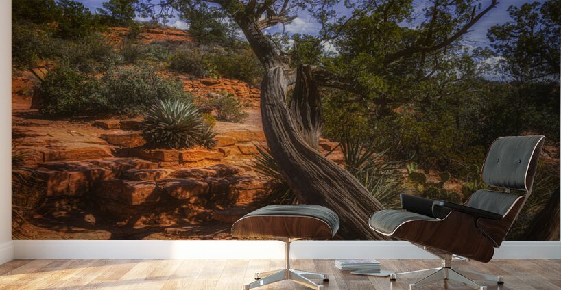 Windswept Harmony of Bark and Sky Wall Murals