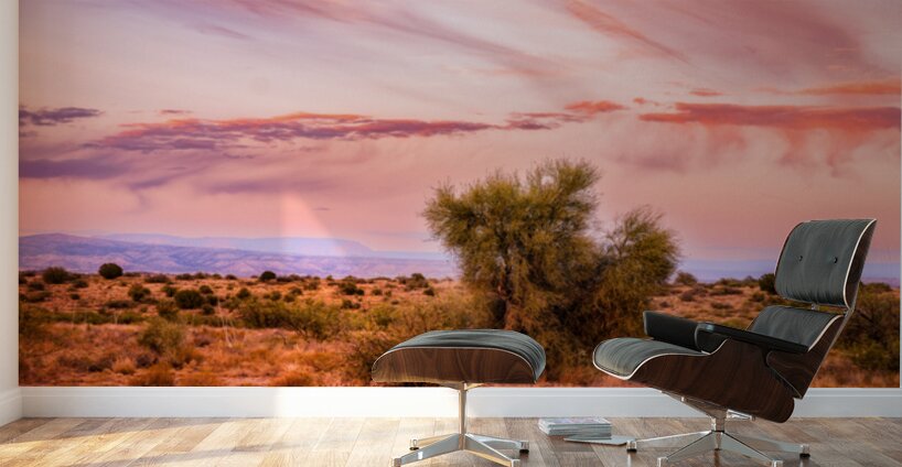 WHISPERS THROUGH THE SUNLIT CANOPY Wall Murals