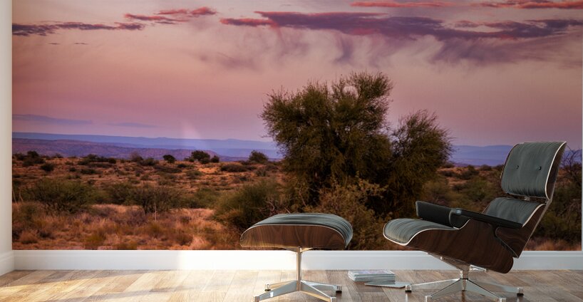 Whispers of a Painted Sky Wall Murals