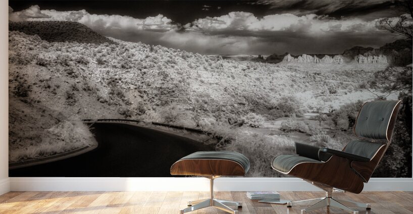 Whispers of the Winding Road Wall Murals