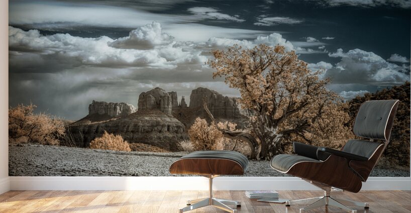Solitary Desert Dreams Wall Murals