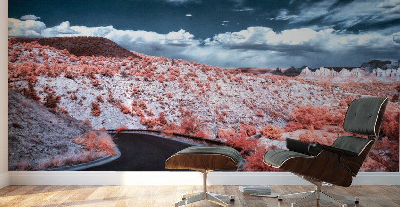 Dreamscape Pathway in Surreal Hues Wall Murals