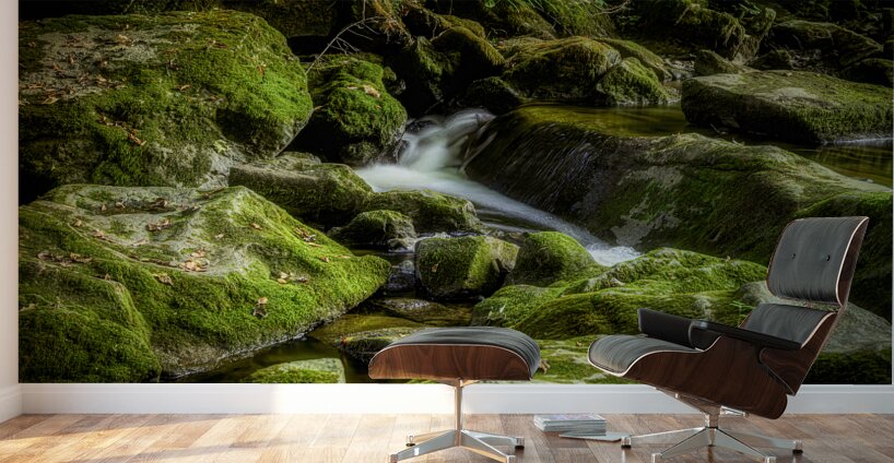 Silent Symphony of Flow Wall Murals