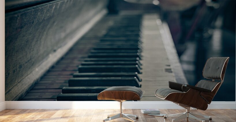 Fading Notes: The Silent Symphony Wall Murals