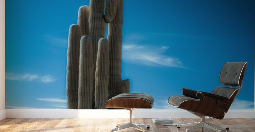 Cactus Symphony beneath Azure Heights Wall Murals