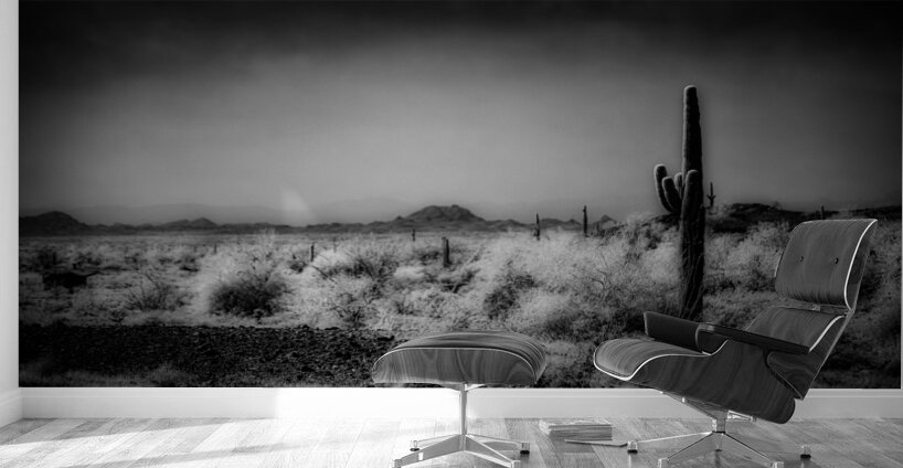 Desert Stillness Wall Murals