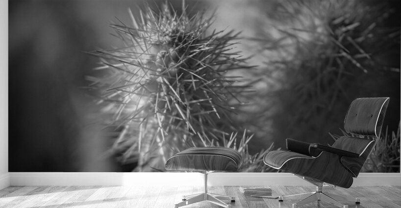 Textures of Thorn and Light Wall Murals