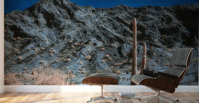 Surreal Desert in Blush and Indigo Wall Murals