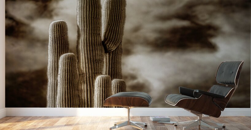 Desert Essence Wall Murals