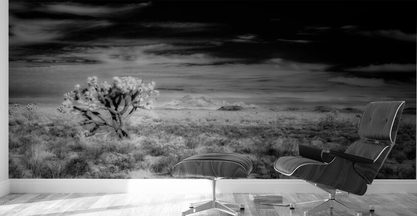 Textured Realms of Silence and Cloud Wall Murals