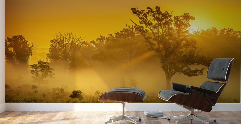 Misty Morning Glow: Dawn in Gettysburg Wall Murals