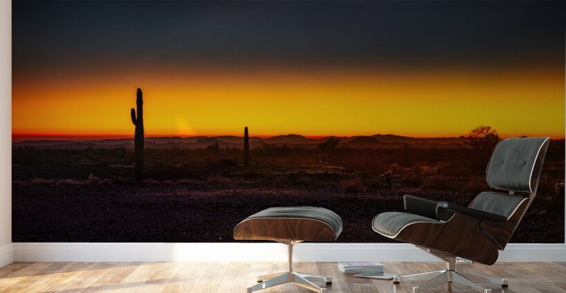 Deserts Goodnight Kiss Wall Murals