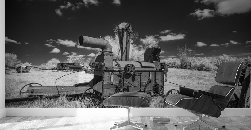 Rustic Relic   Arcaic Harvest Wall Murals