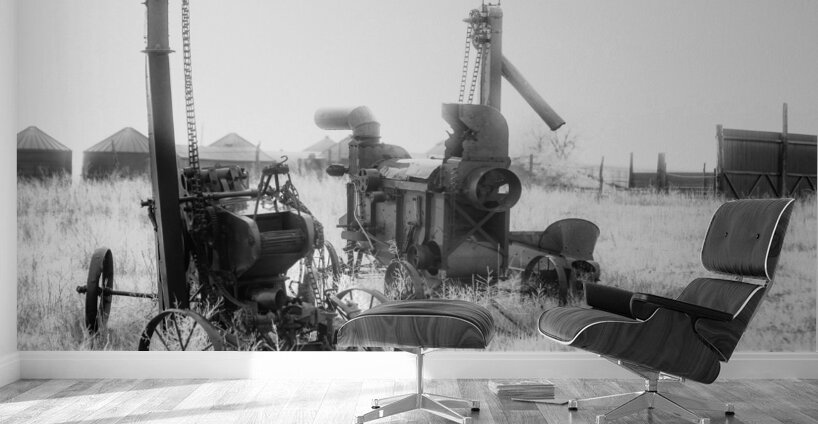 Rustic Relic   Harvest Twins Wall Murals