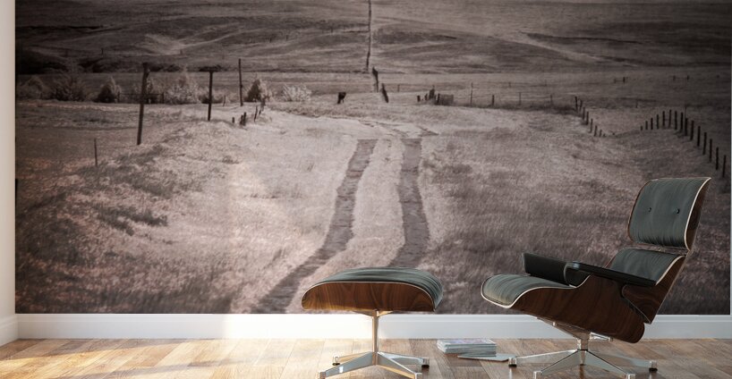 Paths of Yesterday Wall Murals