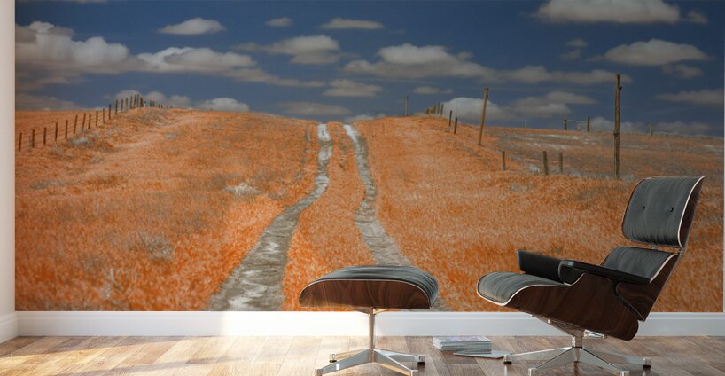 Copper Prairie Path Wall Murals