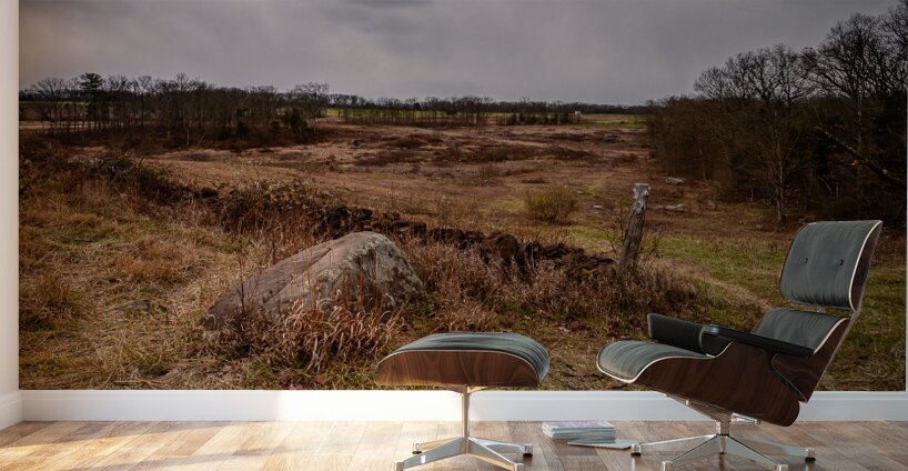 Silent Stones: Devils Den Winter Wall Murals