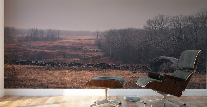 Rusted Ridge Wall Murals