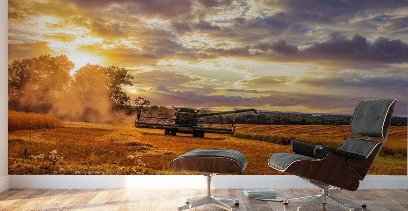 Harvest Gold Wall Murals