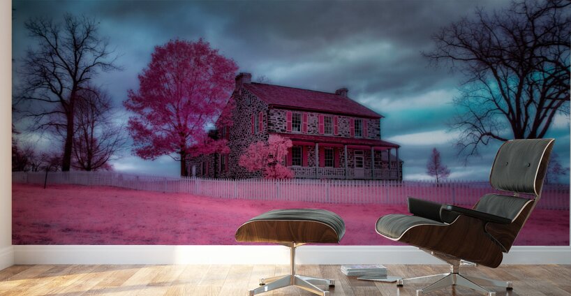 Rose Farm Dream Wall Murals