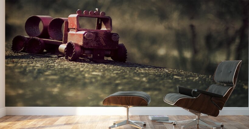 Childhoods Golden Hour Wall Murals