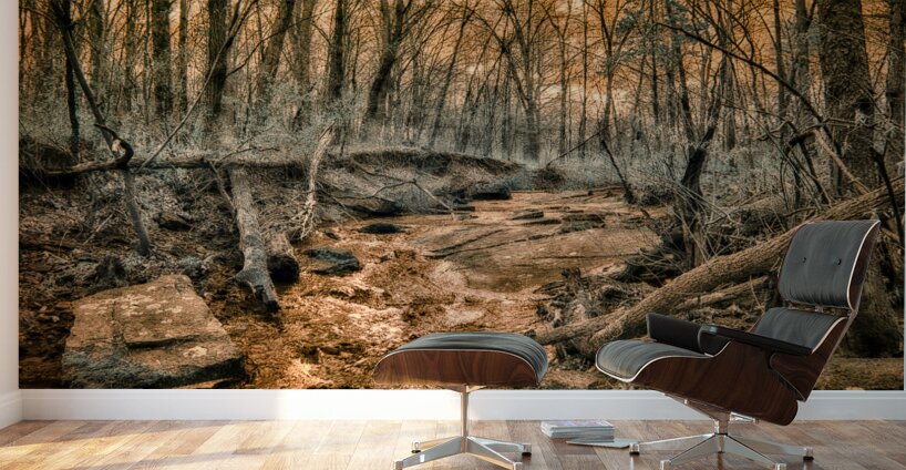 Ghostly Flow: Exploring Gettysburgs Bloody Run in Infrared Wall Murals