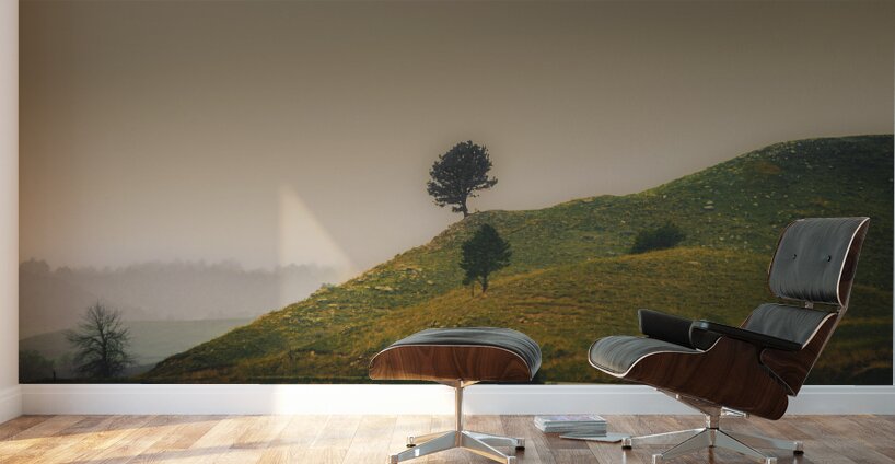 Solitary Sentinels: Misty Isolation Wall Murals