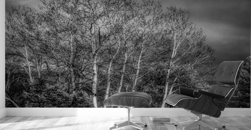 Mueller Aspen Series: Aspen Moon Wall Murals