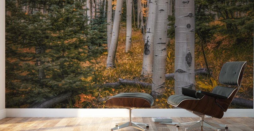 Eternal transition of the forest Wall Murals